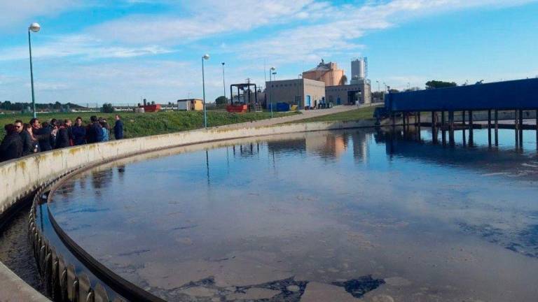 $!El agua limpia de la depuradora de Santa Oliva se vierte al torrente.