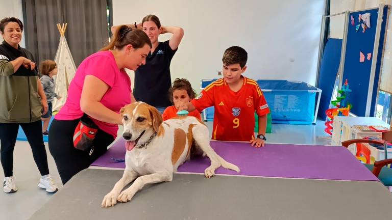 La próxima sesión de terapia canina se realizará el 8 de noviembre. foto: Aj. Salou