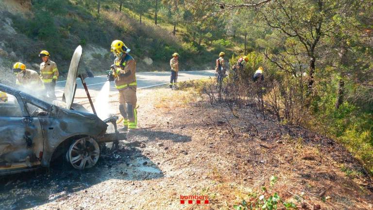 $!Calcinado un vehículo en Colldejou