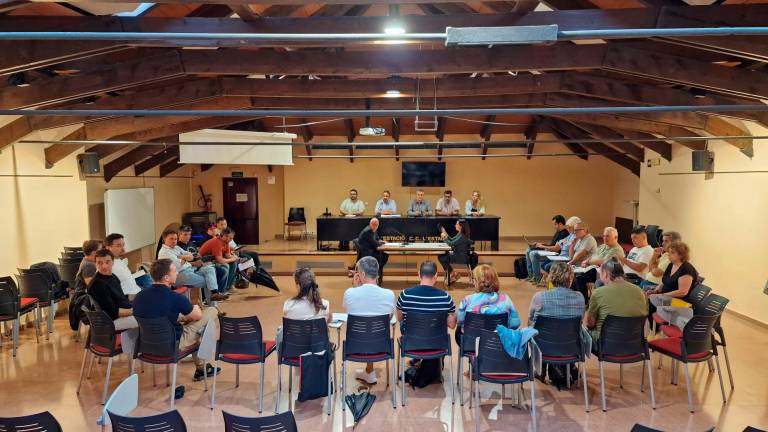 Un pleno del Consell Comarcal del Baix Penedès.