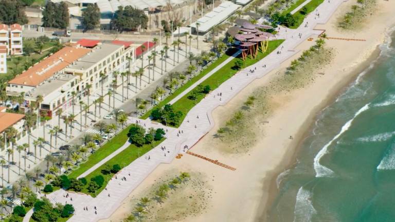 La actuación busca eliminar un tramo de paseo para ganar espacio naturalizado frente a la playa. Foto: DT