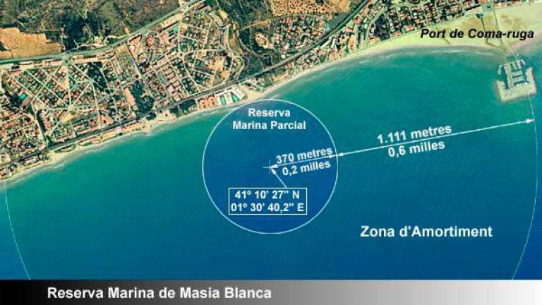 $!24 años de reserva marina de Coma-ruga, urge vigilancia contra furtivos y recuperar los estudios del ecosistema