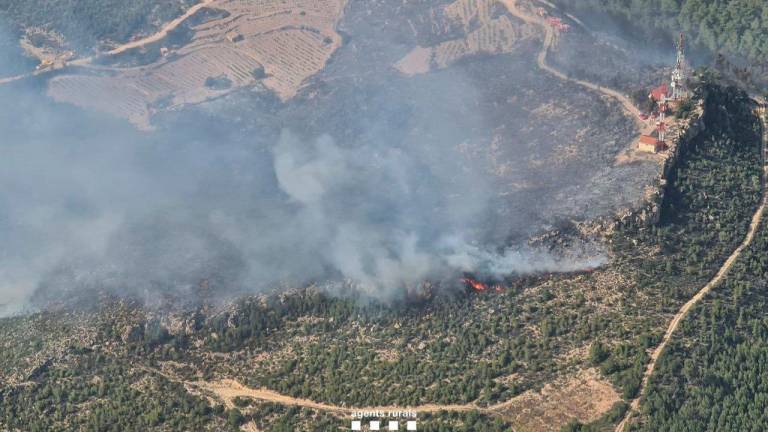 Imagen aérea del incendio forestal en esta zona boscosa del Priorat. Foto: Agents Rurals