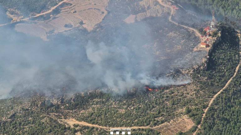 $!El incendio, en acción. Foto: Bombers de la Generalitat