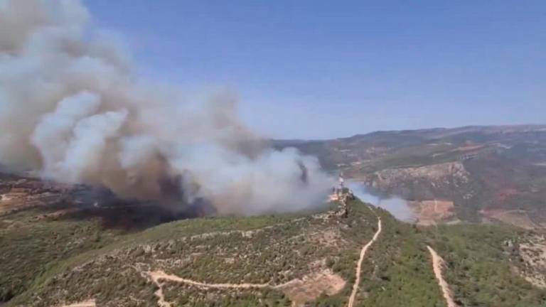 La gran columna de humo que se desprende del incendio. Foto: Agents Rurals