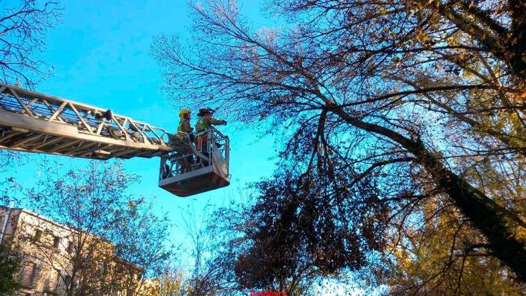 $!La alerta roja de la DANA en Tarragona se centra en el Ebre y se alargará hasta la medianoche