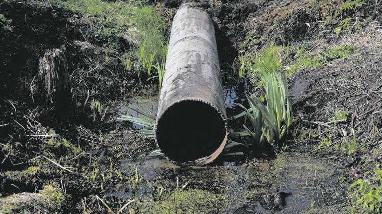 La contaminación por nitratos es un problema histórico en Catalunya y en el resto del Estado. Foto: Getty Images