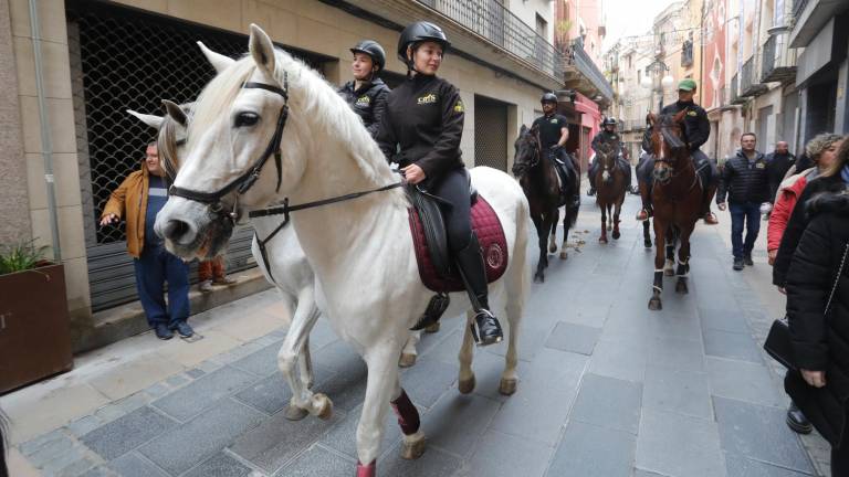 Alguns dels cavalls que van sortir l’any passat durant els Tres Tombs. Foto: Pere Ferré/ DT