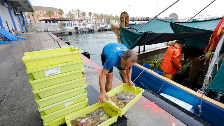 Los pescadores de Cambrils, Tarragona y L’Ametlla de Mar han vuelto al mar este lunes después de la veda biológica. Foto: Pere Ferré