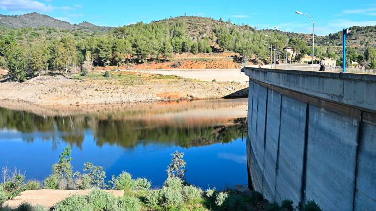 El pantà de Riudecanyes està al 20% de la seva capacitat, però encara és insuficient per afrontar el reg. FOTO: Alfredo González