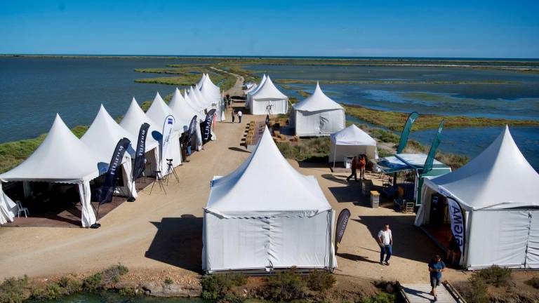 El festival és de referència a la Mediterrània i té lloc a MónNatura Delta de l’Ebre. Foto: J. Revillas