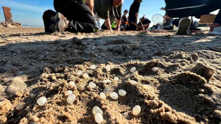 La playa de la Pineda es una de las más afectadas por microplásticos. FOTO: Alfredo González