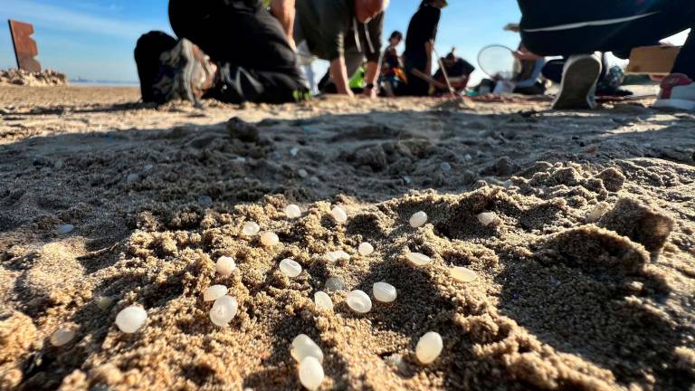 La playa de La Pineda es uno de los focos de vertidos de pélets. Foto: Alfredo González