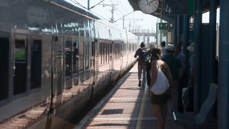 La plataforma Trens Dignes també denuncia que l’estació de l’Aldea està patint una degradació. Foto: J. Revillas