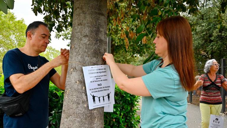 Los asistentes ‘apadrinaron’ algunos de los árboles que se arrancarían si se produjera el traslado, dicen los. Foto: A. G.