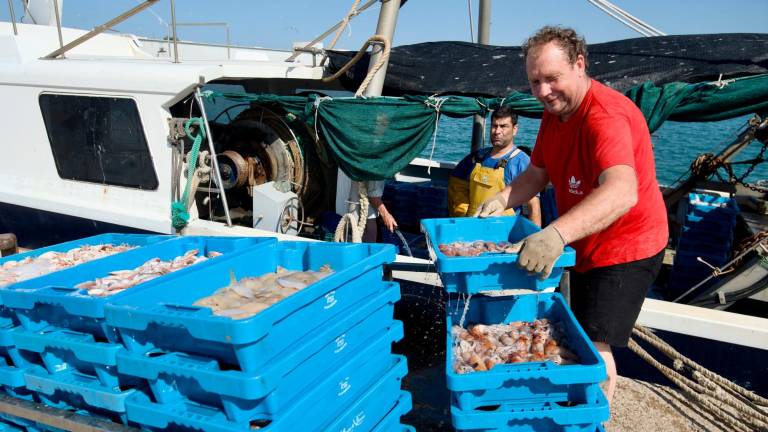 Pescadores descargando las capturas en el puerto de La Ràpita, en el Montsià. Foto: Joan Revillas