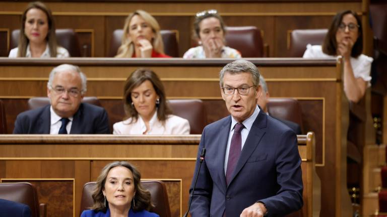 El líder del PP, Alberto Núñez Feijóo, interviene en la sesión de control al Ejecutivo este miércoles en el Congreso. Foto: EFE