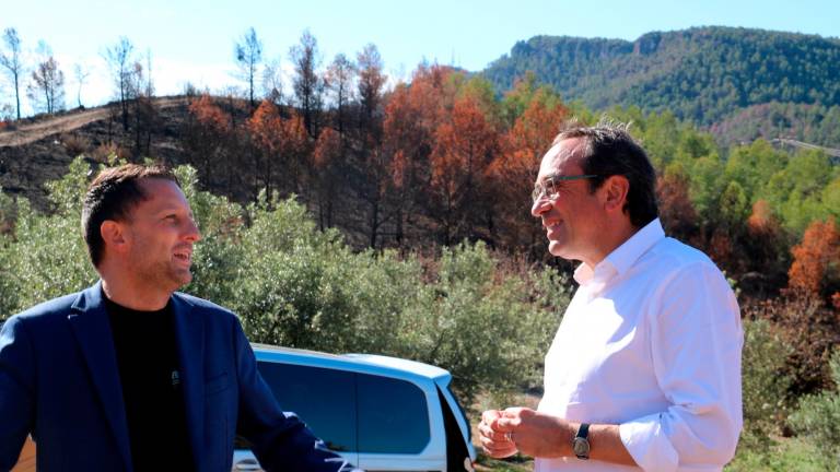 El president del Parlament, Josep Rull, aquest divendres al Priorat. Foto: ACN