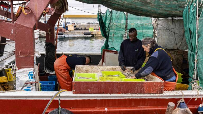 Los pescadores han vuelto a faenar, después de dos días de huelga. FOTO: Àngel Ullate