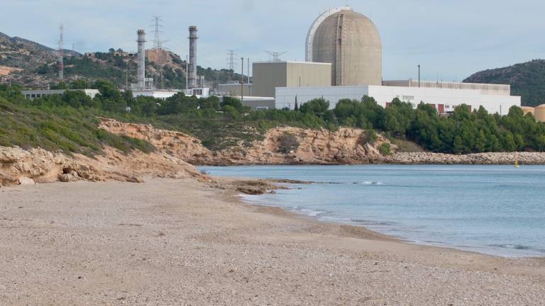 La central nuclear Vandellòs II de fondo. Foto: Joan Revillas
