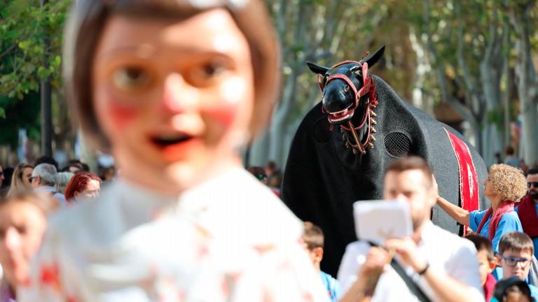 La Mulassa, una de les bèsties més estimades del Seguici. FOTO: Alba Mariné