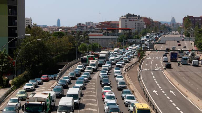 Han deixat cons a la zona per si es reactiven més tard. Foto: ACN