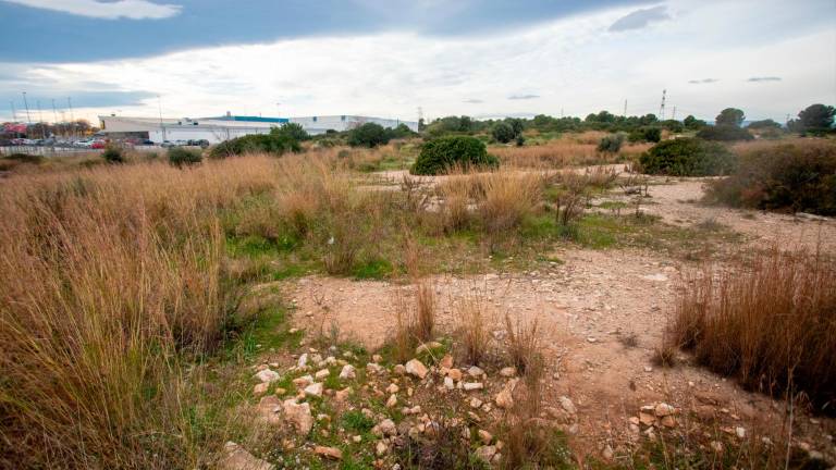 Terrenos que el Ayuntamiento de Tarragona ha puesto a la venta en Les Gavarres. Foto: Marc Bosch