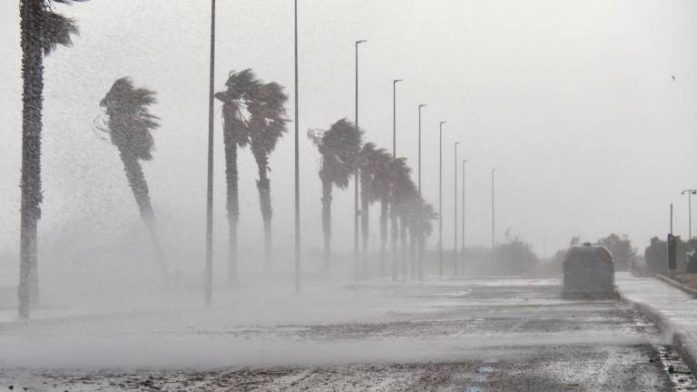 Efectos del temporal en L’Ampolla, este pasado miércoles. Foto: Joan Revillas