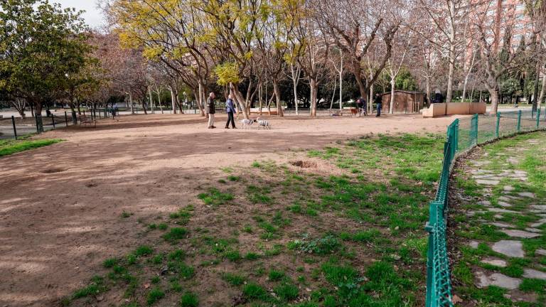 Petición · Ayuntamiento de Teruel: Parque para perros en calle