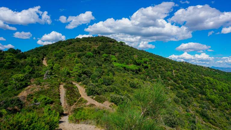 La Colina del Puig d’En Cama. Foto: Santi García