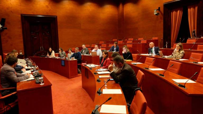 Imagen de la comisión parlamentaria del pasado 20 de abril. Foto: Parlament de Catalunya