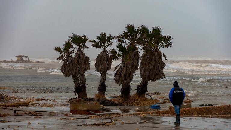 La zona de la bassa de l’Arena, a Deltebre, durant el temporal Glòria. Foto: Joan Revillas