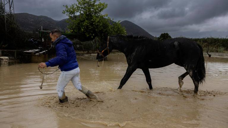 Las lluvias también han sido muy intensas en Andalucía. Foto: EFE