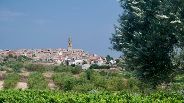 Els fets van passar en una finca de Vilalba dels Arcs. Foto: Joan Revillas