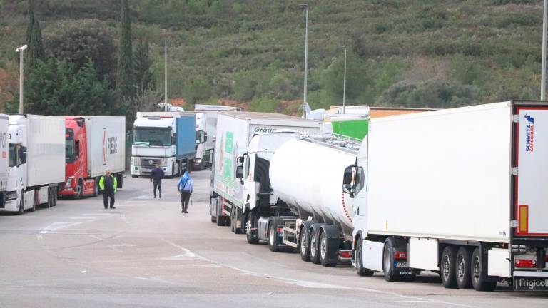 Algunos camiones aparcados en los márgenes de la carretera en Llers. Foto: ACN