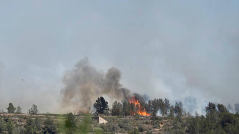 El incendio afectó 87,6 hectáreas. Foto: Joan Revillas