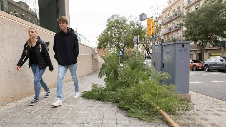 Protecció Civil aconseja extremar precauciones por objetos que puedan salir despedidos. Foto: EFE