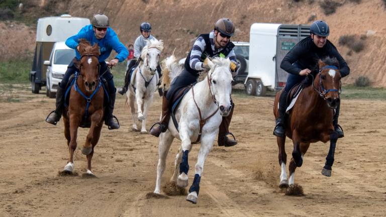 Primera cursa de cavalls, al municipi d’Ascó. Foto: Joan Revillas