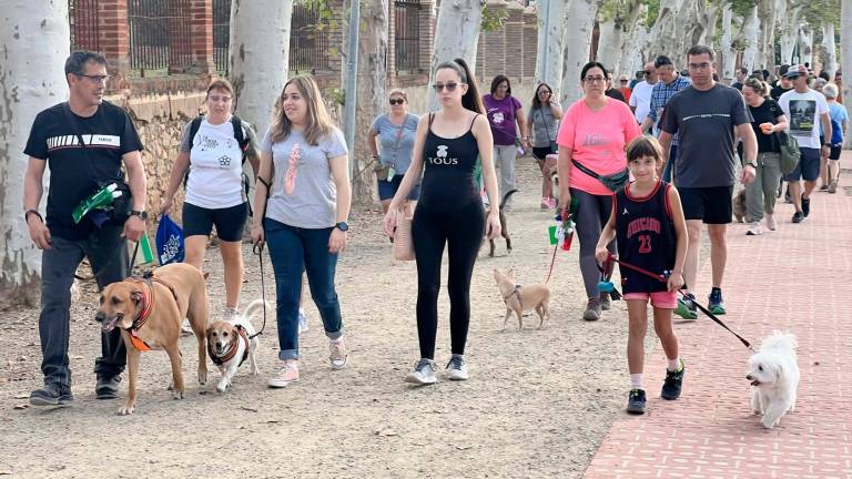 Es farà una caminada pel passeig de la Boca de la Mina. Foto: Alfredo González