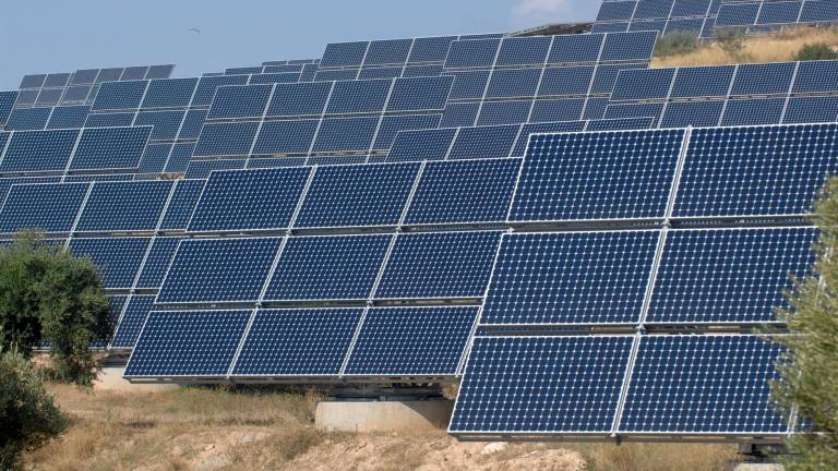 Un parque solar fotovoltaico en Flix. Foto: Joan Revillas