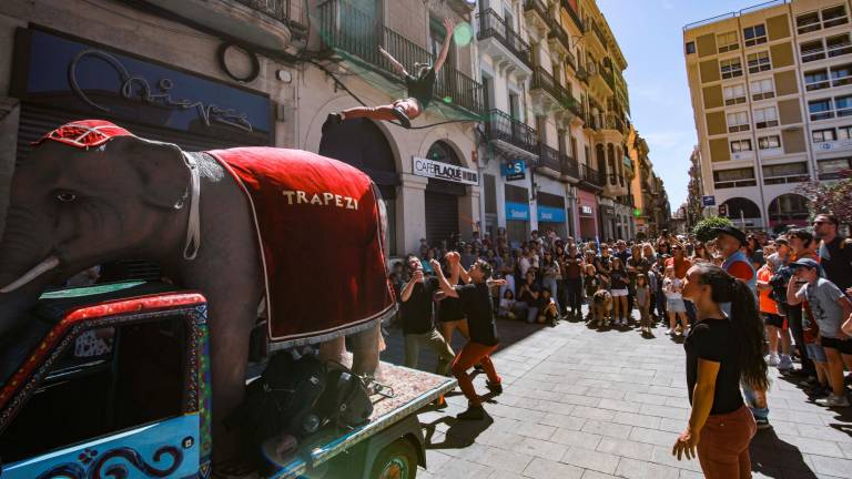 El espectáculo ‘Tenet’ de Eunoia Kolektiva y el elefante. Foto: Àngel Ullate