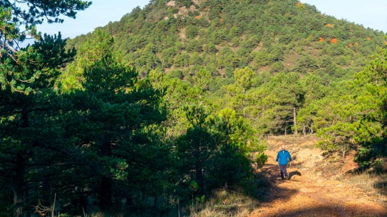 Vista de la colina del Puig de Gallicant. Foto: S. García