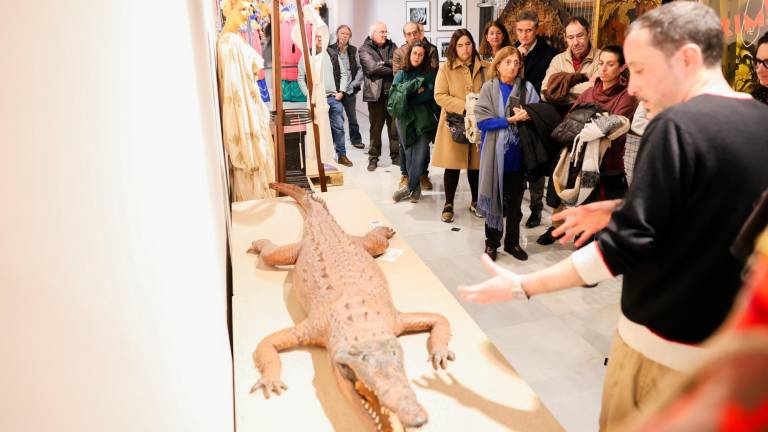 El cocodril dissecat del museu és l’única peça de taxidèrmia de tota la col·lecció. Foto: Alba Mariné