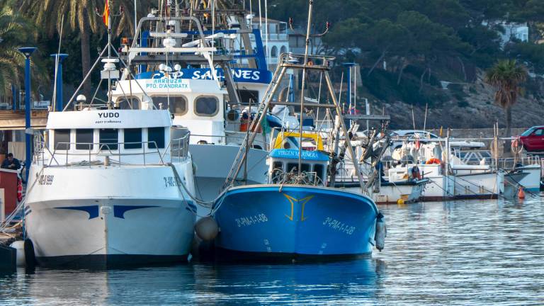 Barcos de pesca amarrados en Mallorca. Foto: EFE