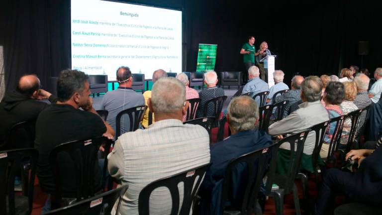 Unió de Pagesos ha fet balanç de la campanya de la fruita d’enguany. Foto: ACN