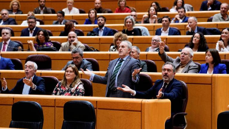 No la volverá a votar como pidió este lunes el Senado que consideraba que el rechazo por mayoría absoluta de la Cámara Alta al texto equivalía a un veto. Foto: EFE