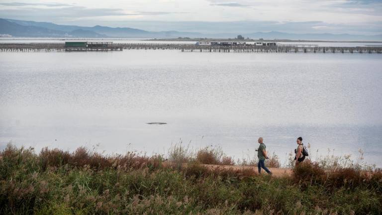 Panoràmica de la badia del Fangar, al delta de l’Ebre. Foto: Joan Revillas