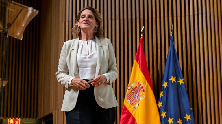 Teresa Ribera, ministra para la Transición Ecológica y el Reto Demográfico del Gobierno de España. Foto: EFE