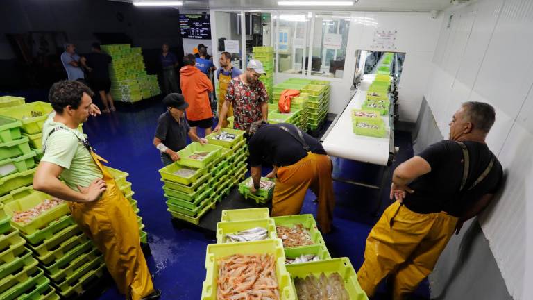 Pescadores de Tarragona colocando las cajas de pescado para la subasta. Foto: Pere Ferré/DT