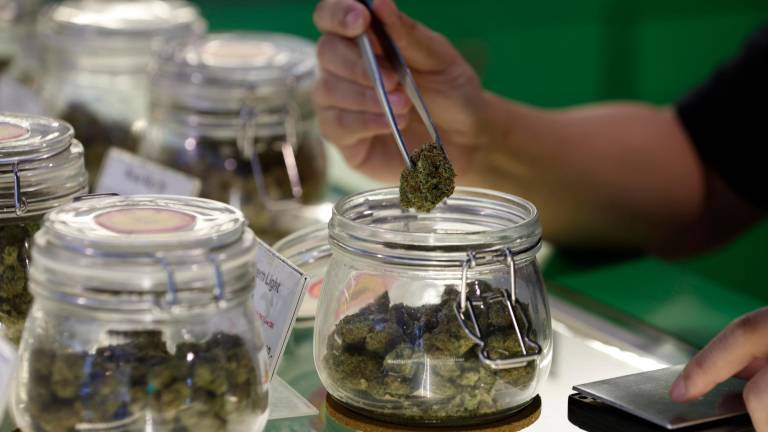 Los productos contenían un alto porcentaje del principio activo cannabinol. Foto: EFE